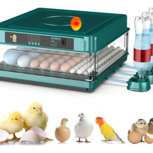 Incubadora de Huevos Automática – Capacidad 64 Huevos, Control de Temperatura y Rotación Automática (ENVÍO GRATIS)